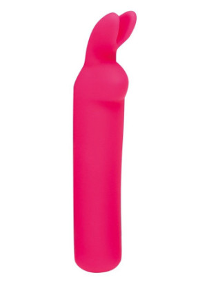 couple's pleasure kit